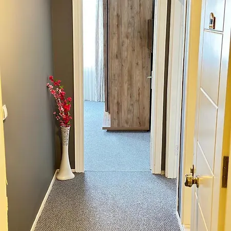 Bikka&asell * ترابزون