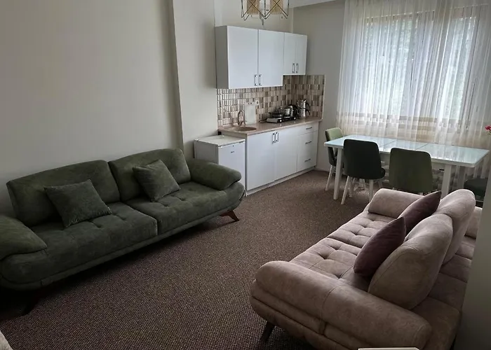 公寓式酒店 Bikka&asell