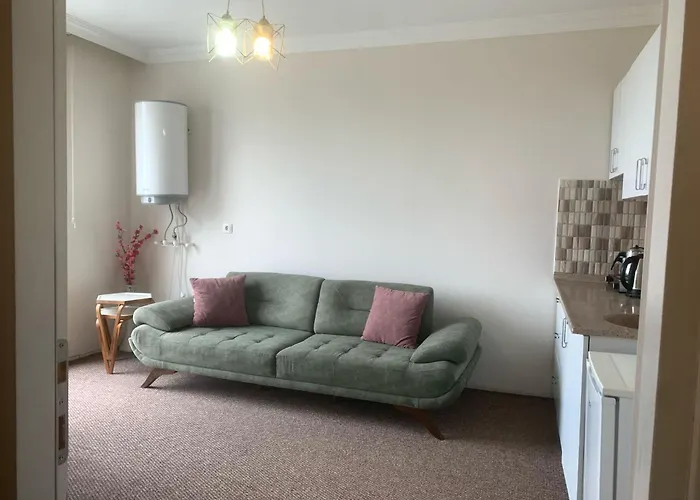 Bikka&asell 公寓式酒店 *