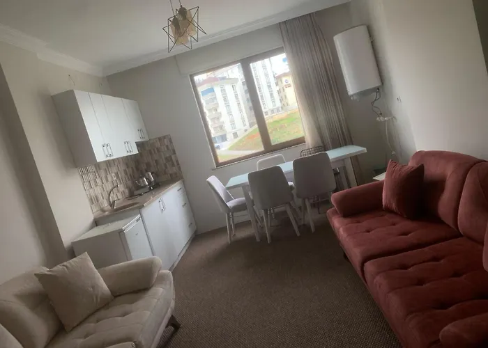 公寓式酒店 Bikka&asell